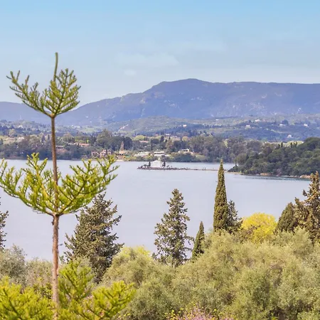 Alvia קונטואקלי