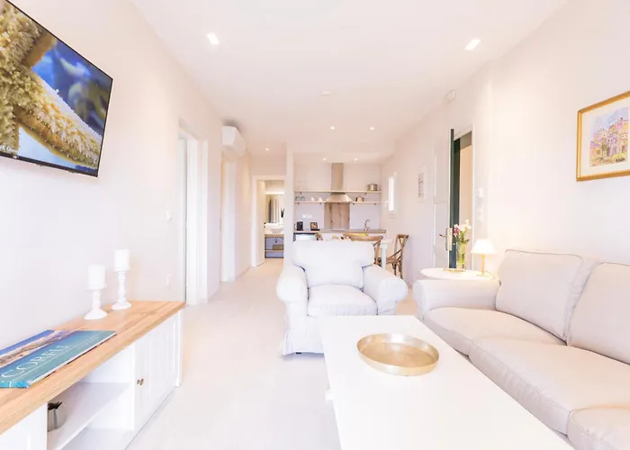 Alvia Контокали